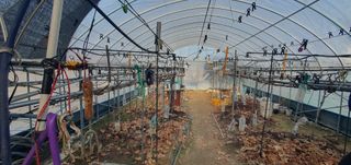 박상중님의 기타작물 · 영농일지 작성글 사진