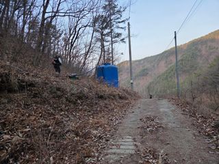 무주설천면 반딧팝님의 기타작물 · 영농일지 작성글 사진