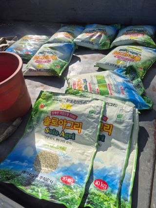 최진일님의 블루베리 · 영농일지 작성글 사진