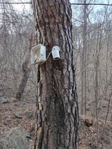 팜모닝 기타작물·영농일지 게시글 이미지