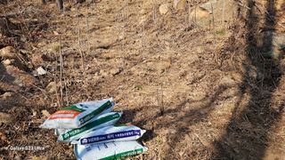 염봉섭님의 기타작물 · 영농일지 작성글 사진