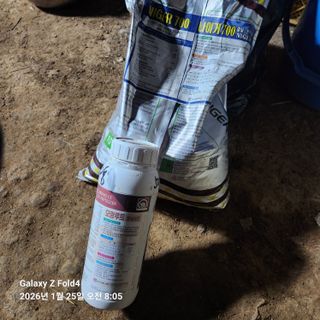 김성훈님의 기타작물 · 영농일지 작성글 사진