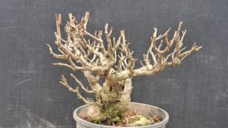 이정운님의 기타작물 · 영농일지 작성글 사진