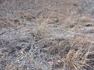 무주설천면 반딧팝님의 기타작물 · 영농일지 작성글 사진