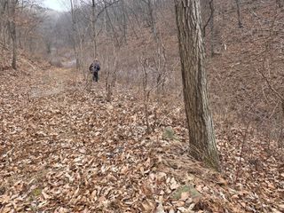 무주설천면 반딧팝님의 기타작물 · 영농일지 작성글 사진