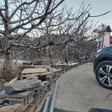 팜모닝 기타작물·영농일지 게시글 이미지