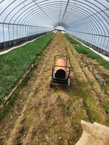 김저팔계님의 작성글 사진