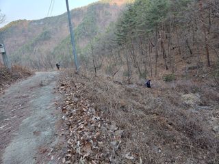 무주설천면 반딧팝님의 기타작물 · 영농일지 작성글 사진