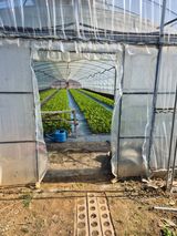 농민님의 작성글 사진