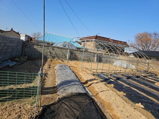 처마밑에추녀님의 기타작물 · 영농일지 작성글 사진