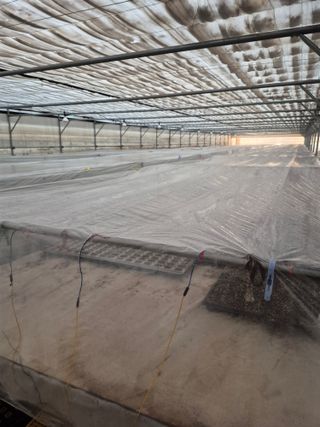 도정록님의 기타작물 · 영농일지 작성글 사진