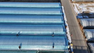 서대산향수님의 포도 · 영농일지 작성글 사진