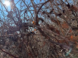 산희농원님의 기타작물 · 영농일지 작성글 사진