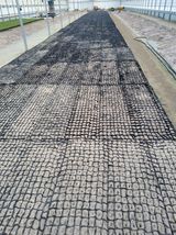 팜모닝 기타작물·영농일지 게시글 이미지