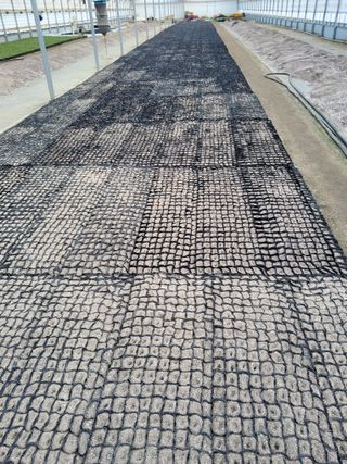 팜모닝회원 김순달 님의 기타작물 · 영농일지 작성글 사진