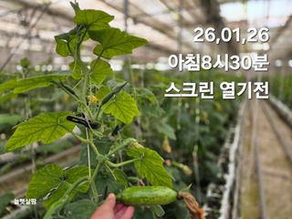 늘햇살팜 님의 기타작물 · 영농일지 작성글 사진