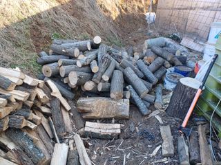 열남님의 기타작물 · 영농일지 작성글 사진