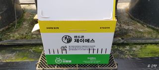 류근택님의 블루베리 · 영농일지 작성글 사진