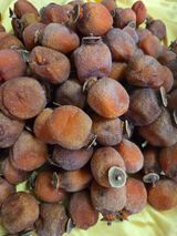 팜모닝 기타작물·영농일지 게시글 이미지