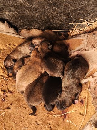 제2의인생출발님의 기타작물 · 영농일지 작성글 사진