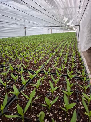 도정록님의 기타작물 · 영농일지 작성글 사진