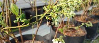 류근택님의 작성글 사진