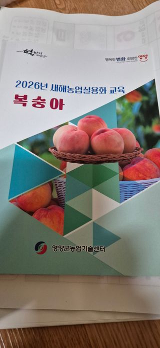 정진필님의 기타작물 · 영농일지 작성글 사진