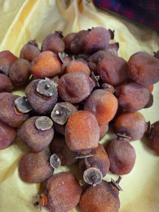 에덴농원님의 기타작물 · 영농일지 작성글 사진