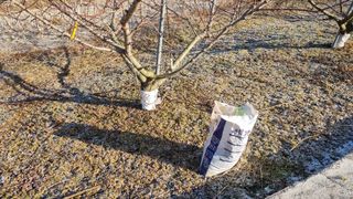 최용한님의 복숭아 · 영농일지 작성글 사진