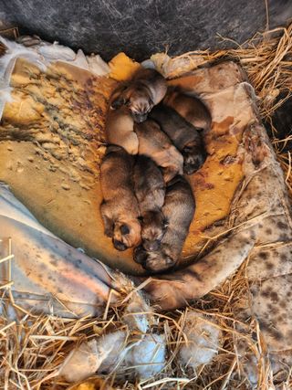 제2의인생출발님의 기타작물 · 영농일지 작성글 사진