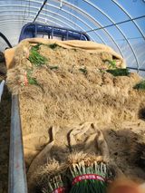 김저팔계님의 작성글 사진