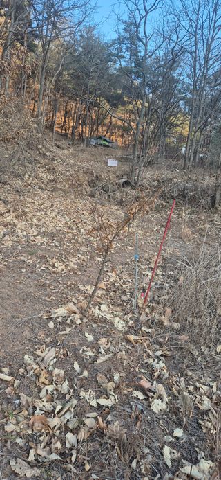 정진필님의 기타작물 · 영농일지 작성글 사진