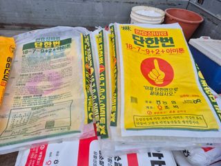 최진일님의 블루베리 · 영농일지 작성글 사진