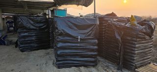 시흥댓골농부님의 기타작물 · 영농일지 작성글 사진