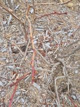 최진일님의 작성글 사진