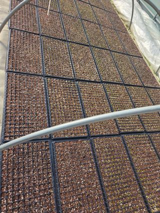 마늘25328님의 기타작물 · 영농일지 작성글 사진