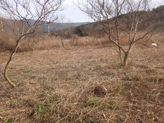 김윤철님의 기타작물 · 영농일지 작성글 사진