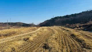 조한충님의 기타작물 · 영농일지 작성글 사진