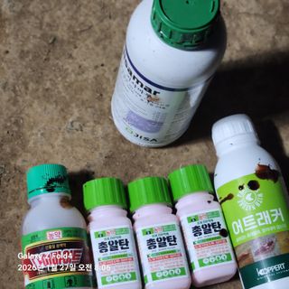 김성훈님의 기타작물 · 영농일지 작성글 사진