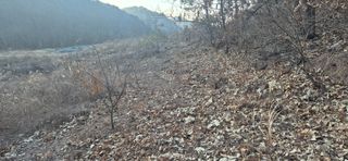 정진필님의 기타작물 · 영농일지 작성글 사진