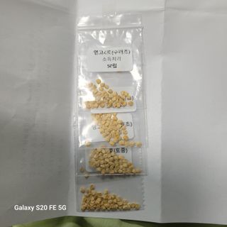 정찬영님의 고추 · 영농일지 작성글 사진