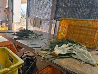 낙엽교목류22209님의 파 · 영농일지 작성글 사진