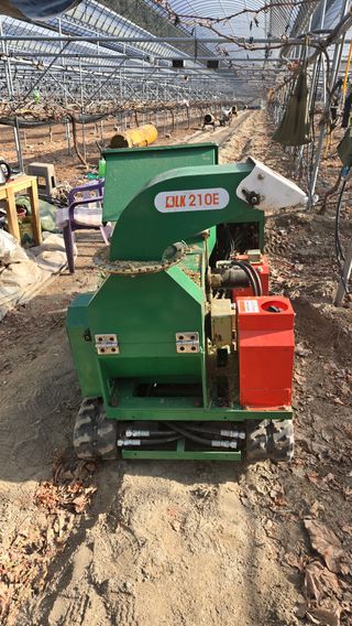 전진원님의 포도 · 영농일지 작성글 사진