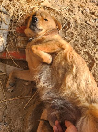 제2의인생출발님의 기타작물 · 영농일지 작성글 사진