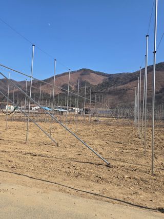 홍1237님의 사과 · 영농일지 작성글 사진