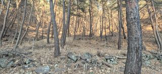 정진필님의 기타작물 · 영농일지 작성글 사진