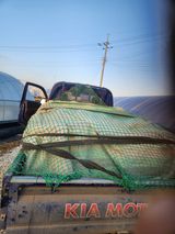 김저팔계님의 작성글 사진