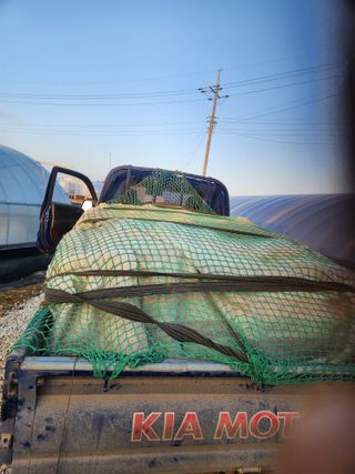 김저팔계님의 파 · 영농일지 작성글 사진