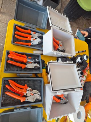 가야베리팜님의 블루베리 · 영농일지 작성글 사진