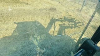 조한충님의 기타작물 · 영농일지 작성글 사진